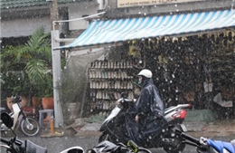 Mùa mưa ở Nam Bộ có thể đến sớm hơn bình thường 
